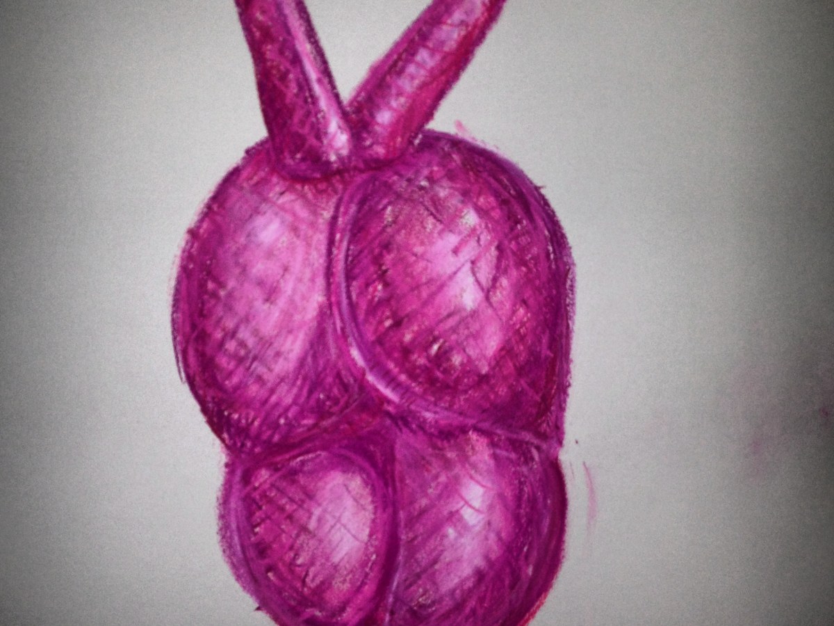 Transplant: A heart that loves&nbsp;on