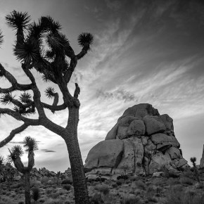 Because I never told&nbsp;you…