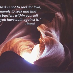 Seek for Love