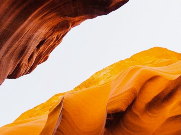 time’s pressed flowers