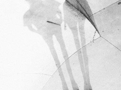 First Day of&nbsp;Fall